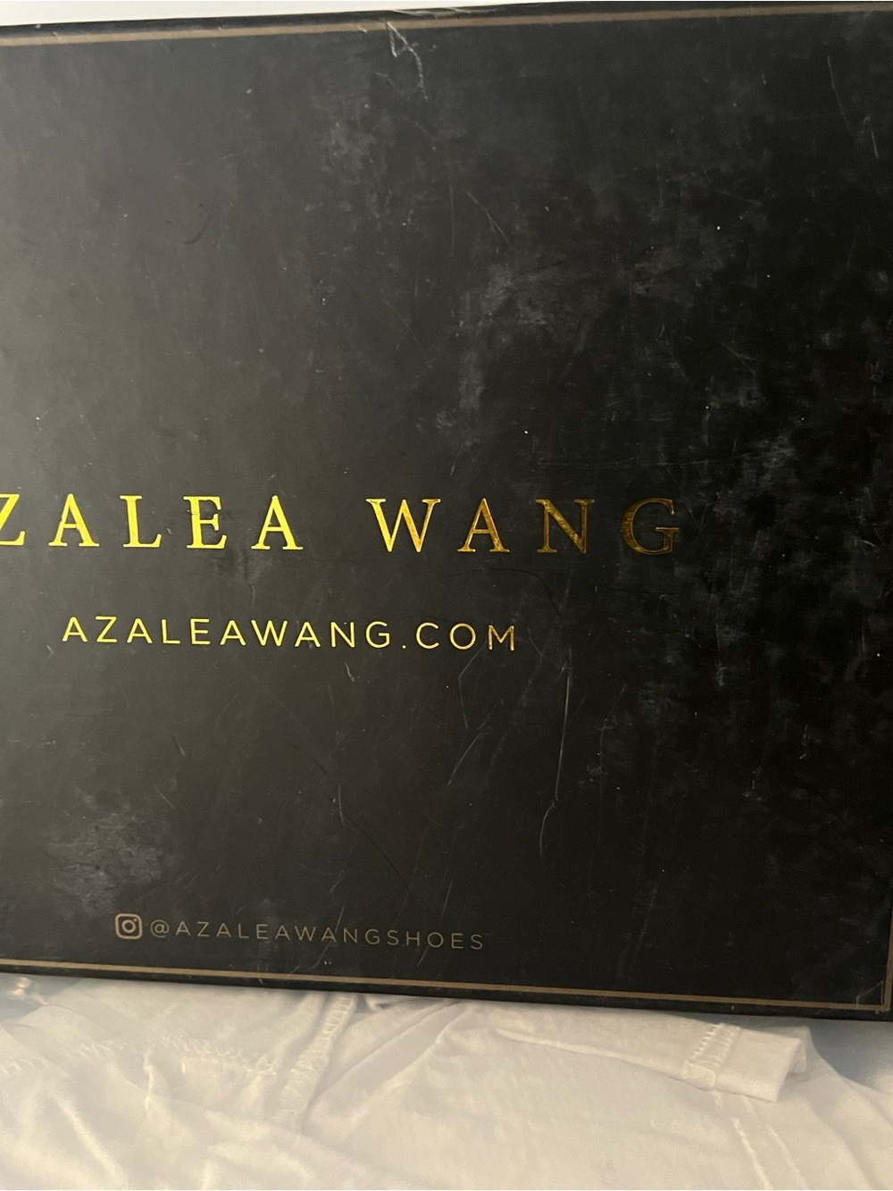Azalea Wang Women’s Heels in Black with Gold Accents